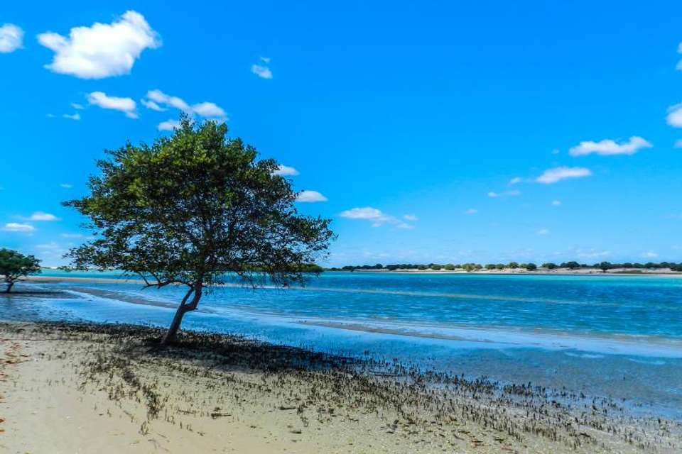 Tour To Galinhos - Tangol Tours - Brazil - Image 5
