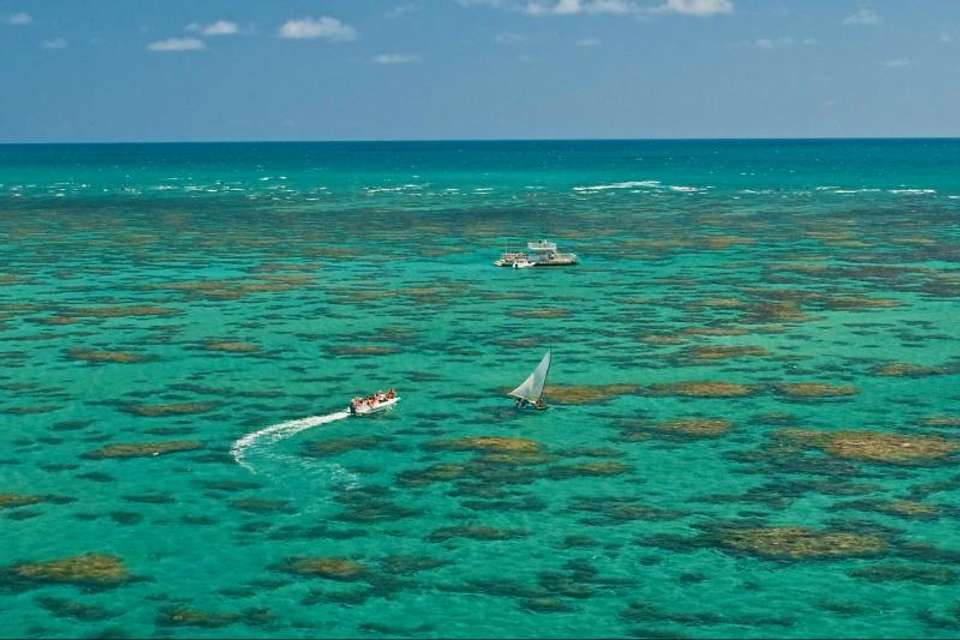 Tour To Maracajaú With Catamaran Ride - Tangol Tours - Brazil - Image 6