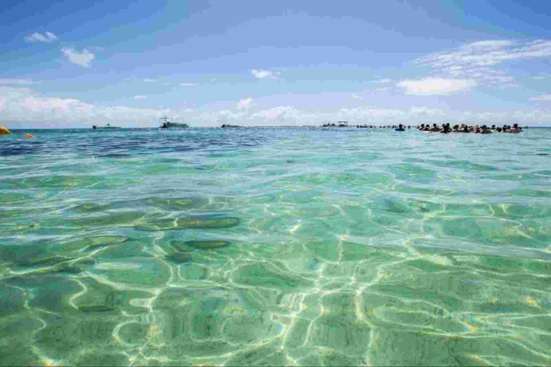Tour To Maragogi Beach