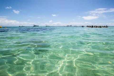 Tour To Maragogi Beach