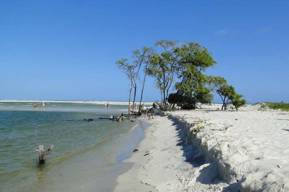 Tour To Mundaú Beach - undefined - Image 4
