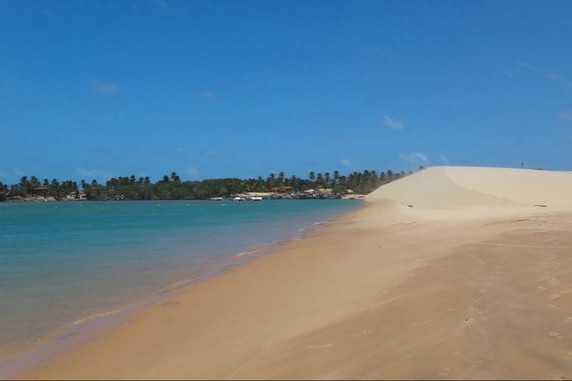 Image 5 of 6