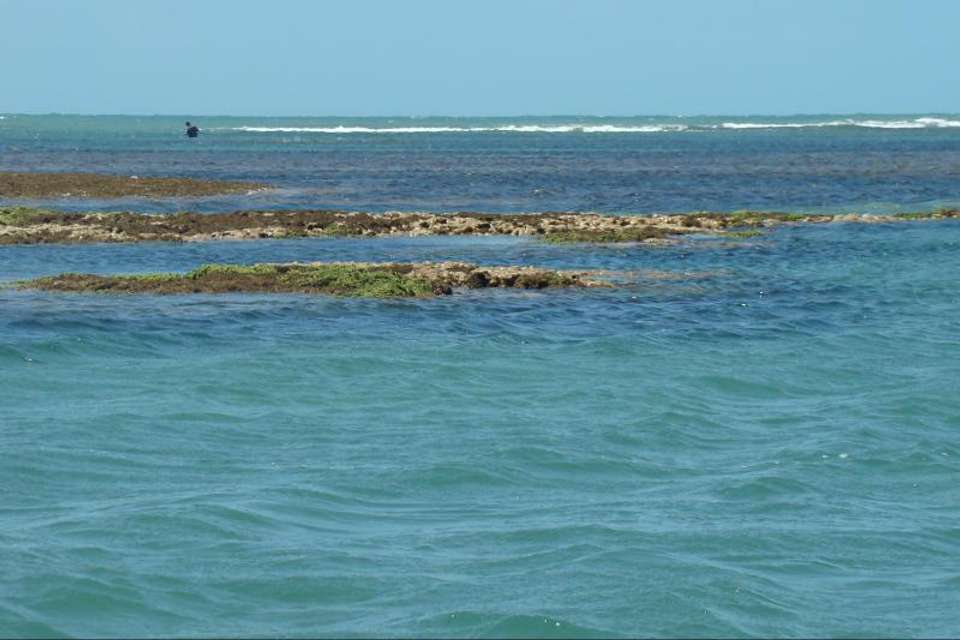 Tour To Mundaú Beach - undefined - Image 6