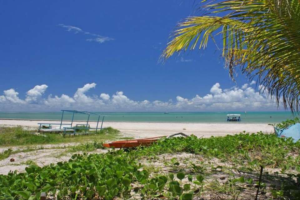Tour To Paripueira Beach - undefined - Image 3