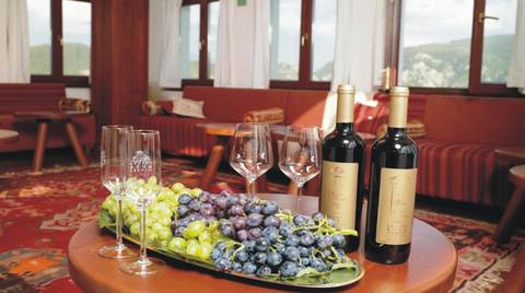 Local Culture Tour: Tour To Tikvesh Wine Region From Skopje