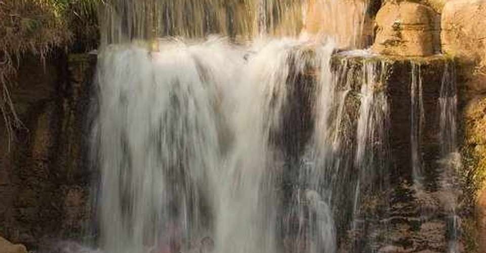 Tour to Whales Valley and Wadi El Rayan Waterfalls - Emo Tours - Egypt - Image 2