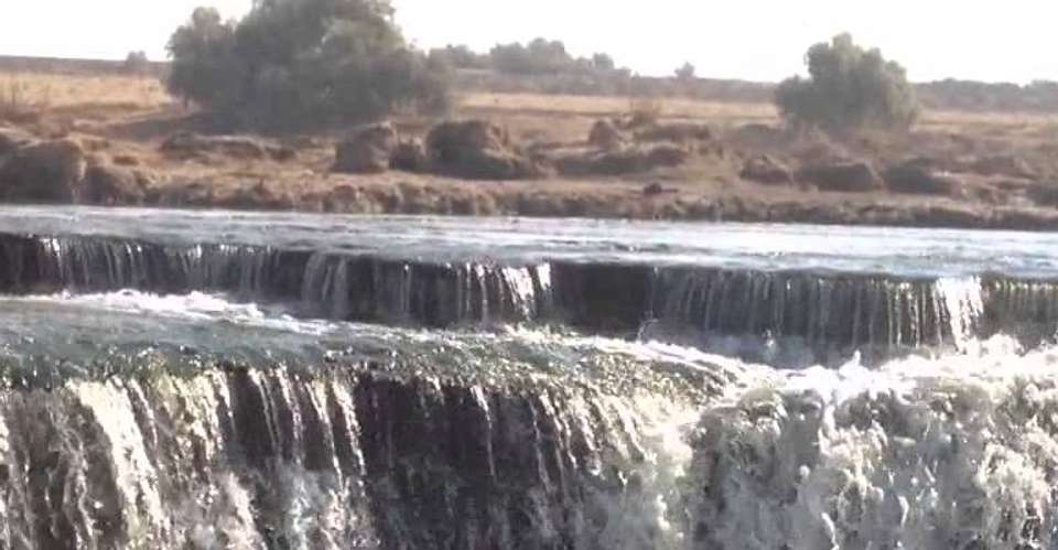 Tour to Whales Valley and Wadi El Rayan Waterfalls - Emo Tours - Egypt - Image 3