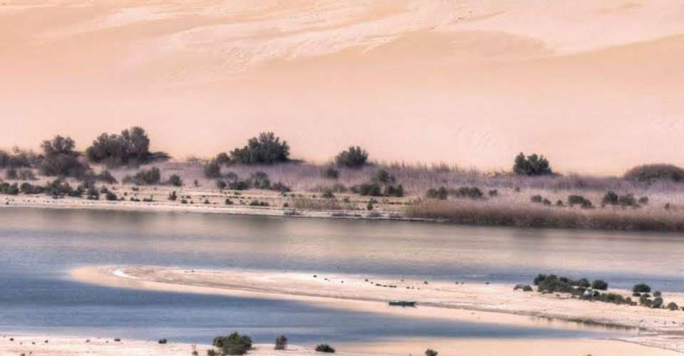 Tour to Whales Valley and Wadi El Rayan Waterfalls - Emo Tours - Egypt - Image 4