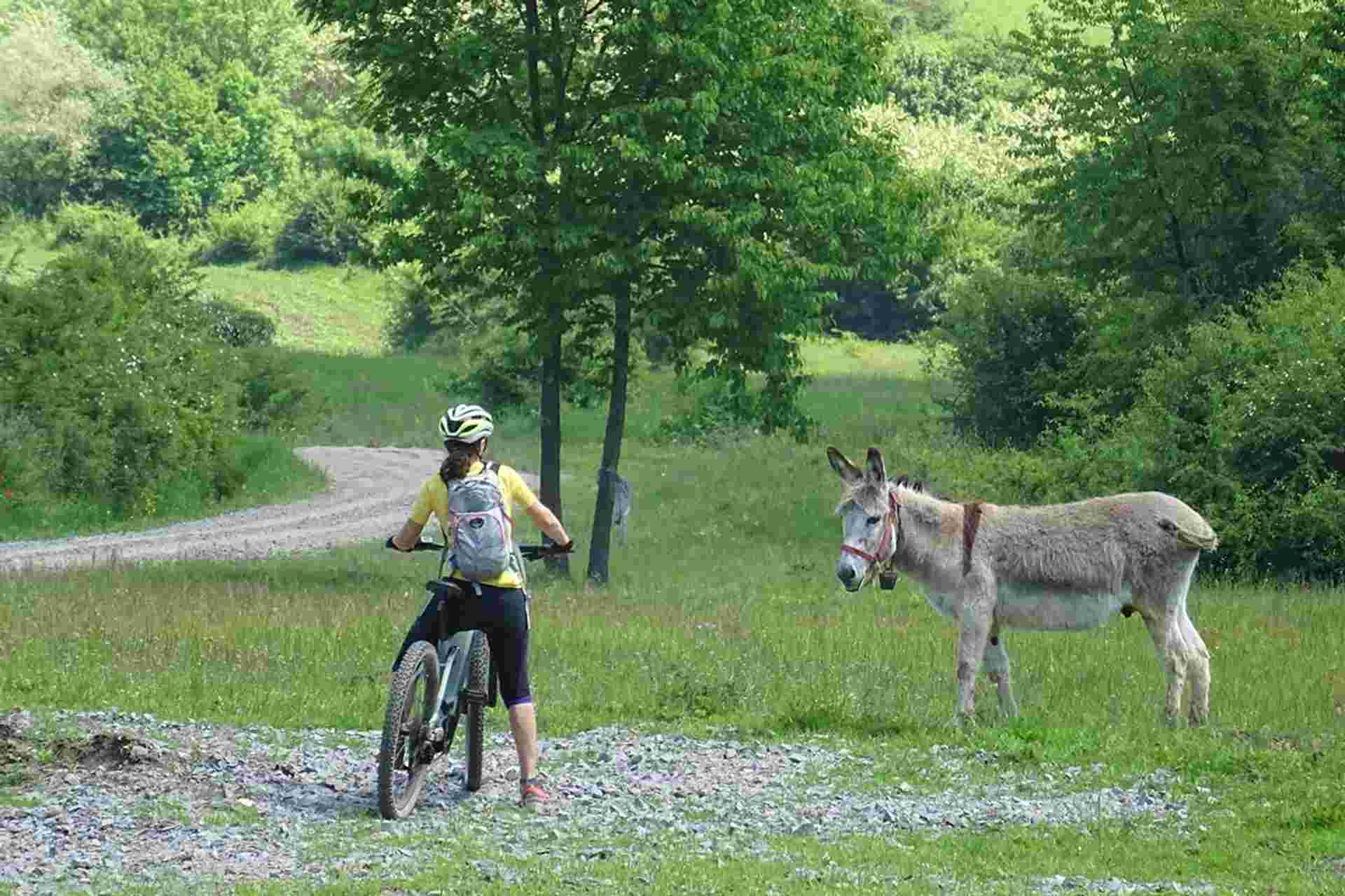Romania: Touring Transylvania by Bicycle