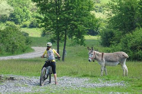 Romania Eco Tours: Romania: Touring Transylvania By Bicycle