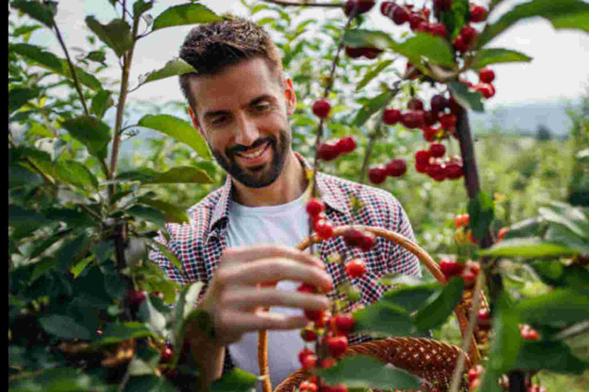 Traditional Coffee Tour