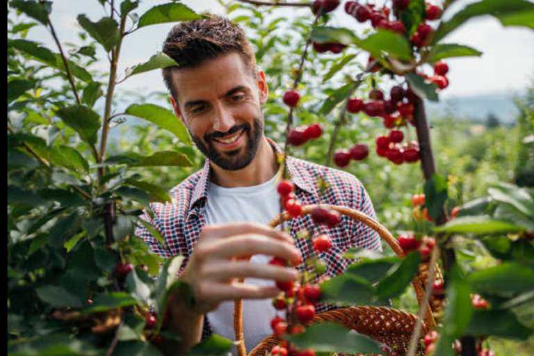 Traditional Coffee Tour