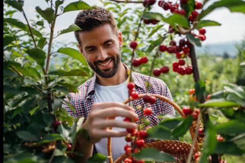 Traditional Coffee Tour - August 2026