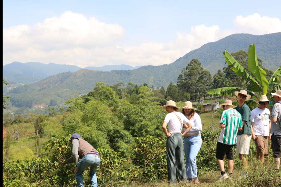 Traditional Coffee Tour - Tangol Tours - Colombia - Image 2