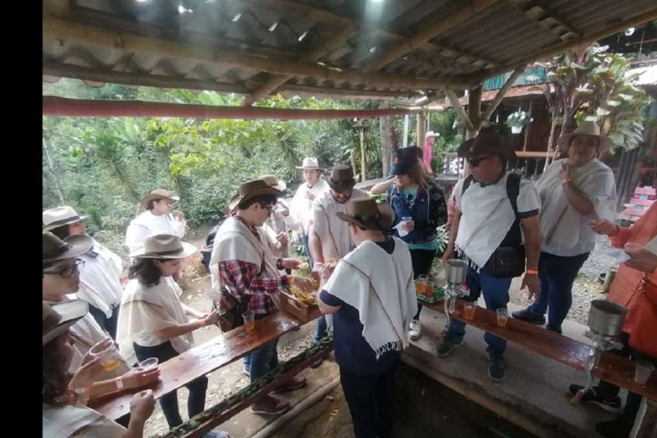 Traditional Coffee Tour - Tangol Tours - Colombia - Image 5