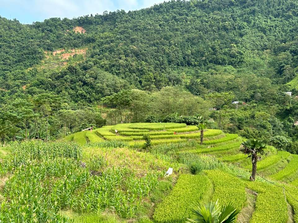 Trails of Vietnam - Exodus Adventure Travels - Vietnam