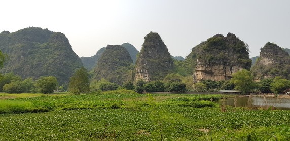 Image 3 of 8