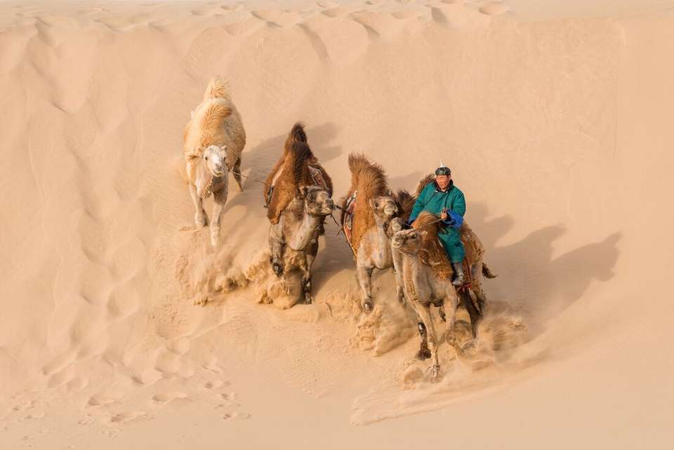 Trans-Mongolian Railway Adventure - Intrepid Travel - China - Image 5