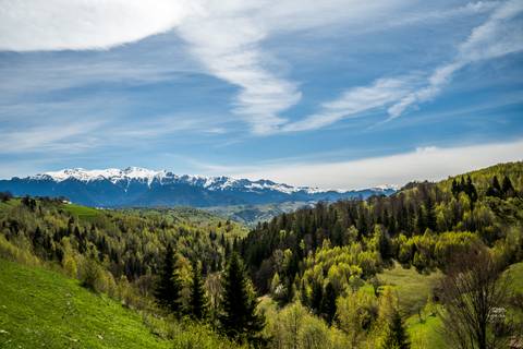 Romania Eco Tours: Transylvanian Castles Walk