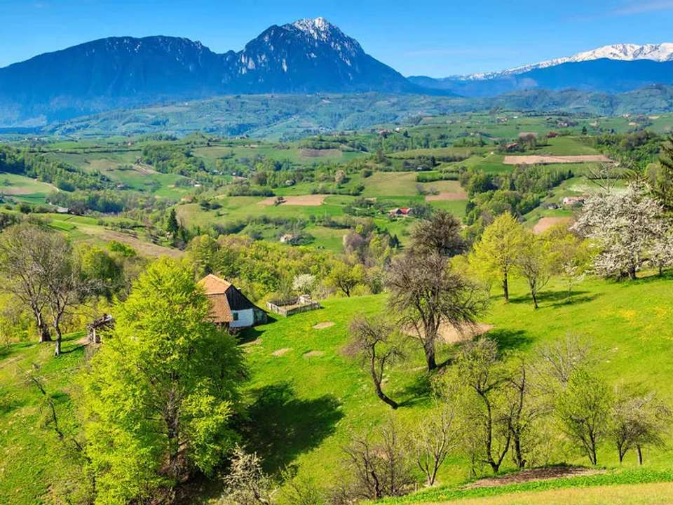 Transylvanian Long Weekend - undefined - Image 13