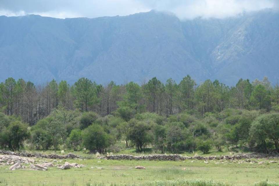 Traslasierras Valley Day Trip from Cordoba - Tangol Tours - Argentina - Image 5