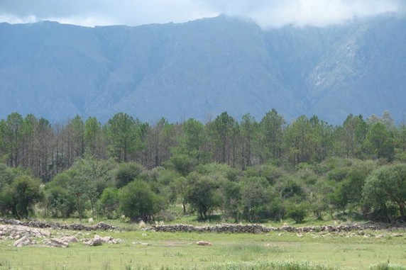 Image 5 of 6