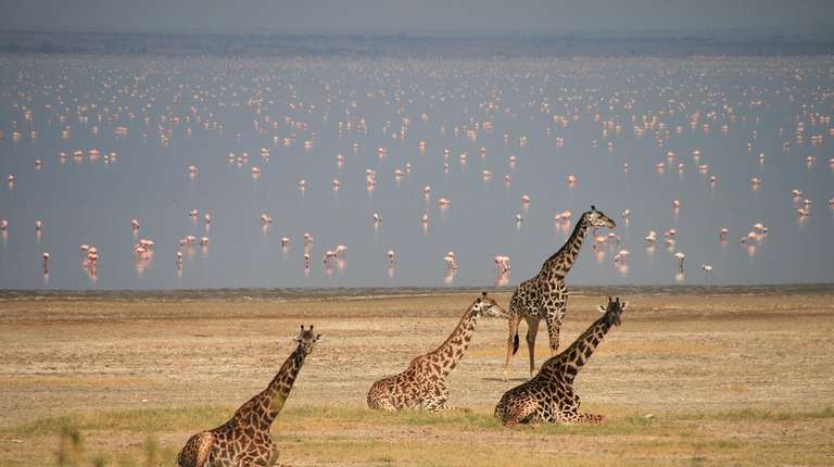Travel and Leisure - 5 days trip - alternative tour available