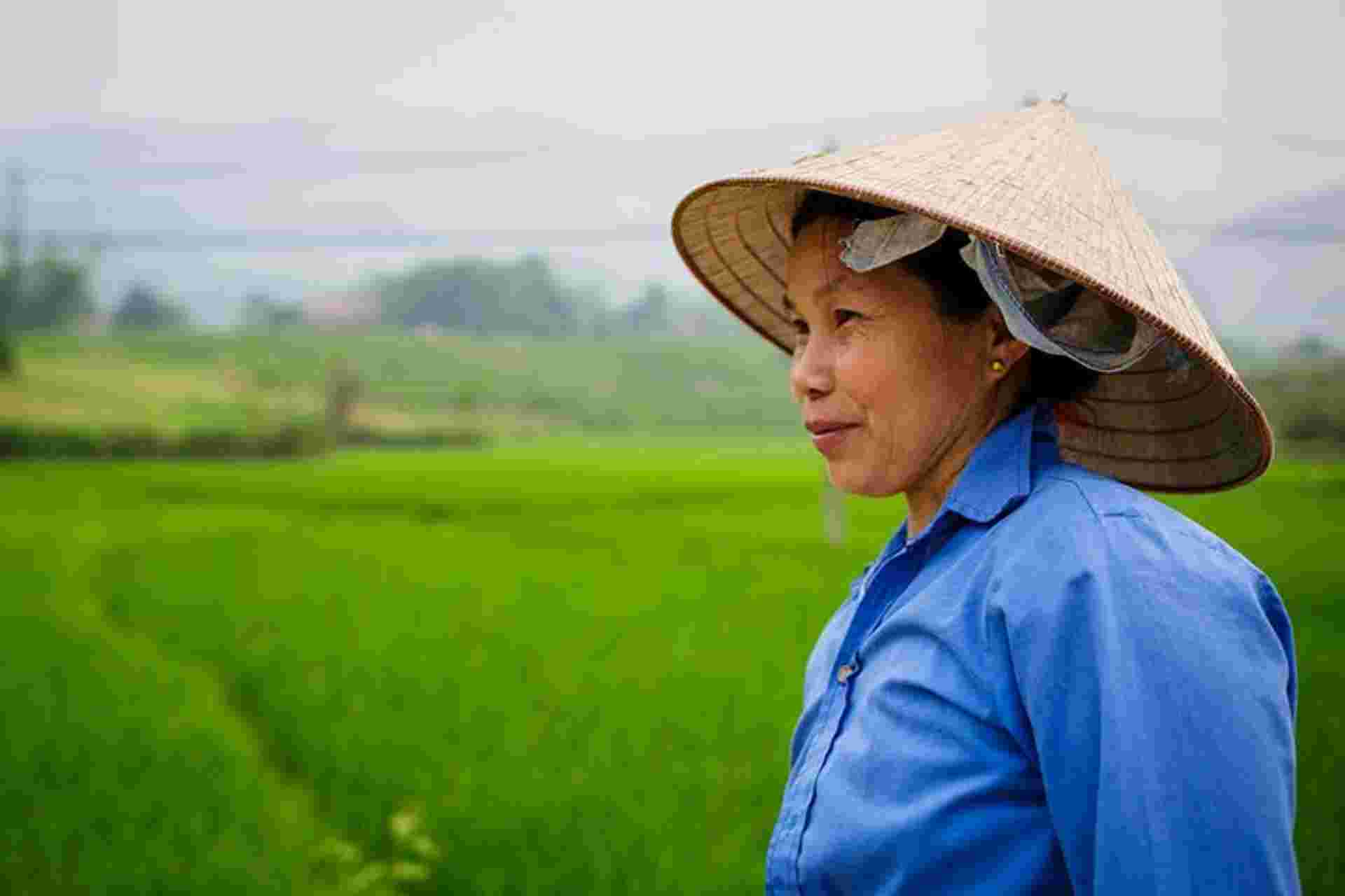 Off The Beaten Path North Vietnam 6 Days 5 Nights
