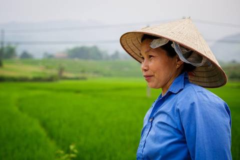 Ha Giang Trekking And Hiking Tour: Off The Beaten Path North Vietnam 6 Days 5 Nights