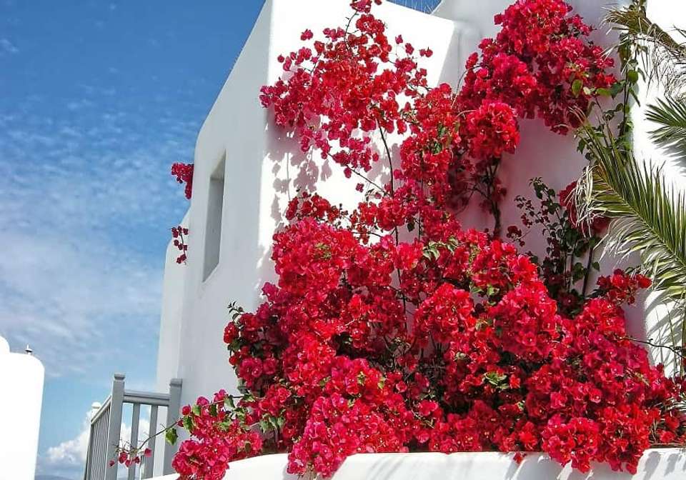 Treasures of Athens and The Greek Islands - Indus Travels - Greece - Image 3
