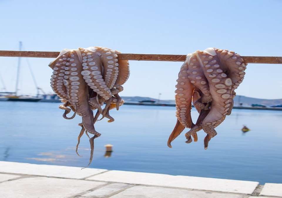 Treasures of Athens and The Greek Islands - Indus Travels - Greece - Image 9