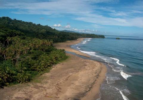 San Jose Rainforest And Jungle Visits Tour: Treasures Of Costa Rica