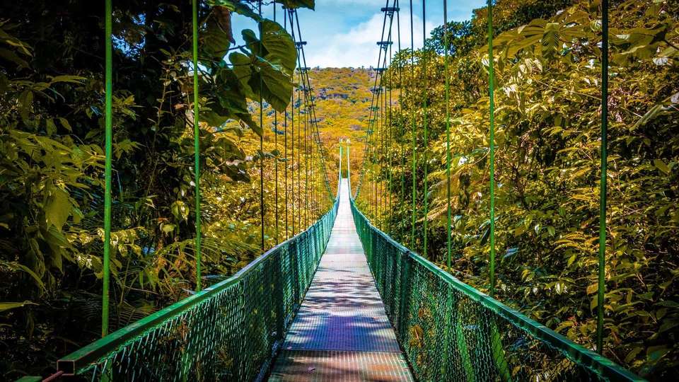 Treasures of Costa Rica and Panama - Indus Travels - Costa Rica - Image 7