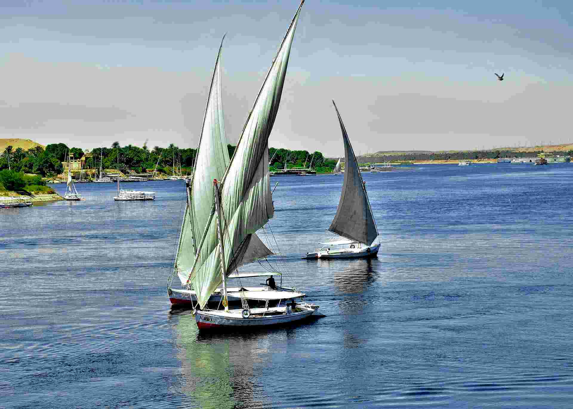 Treasures of Egypt