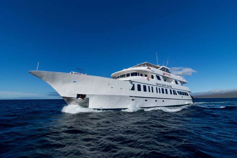 Treasures of Galapagos: Western & Central Islands (Grand Queen Beatriz) - Intrepid Travel - Ecuador - Image 7