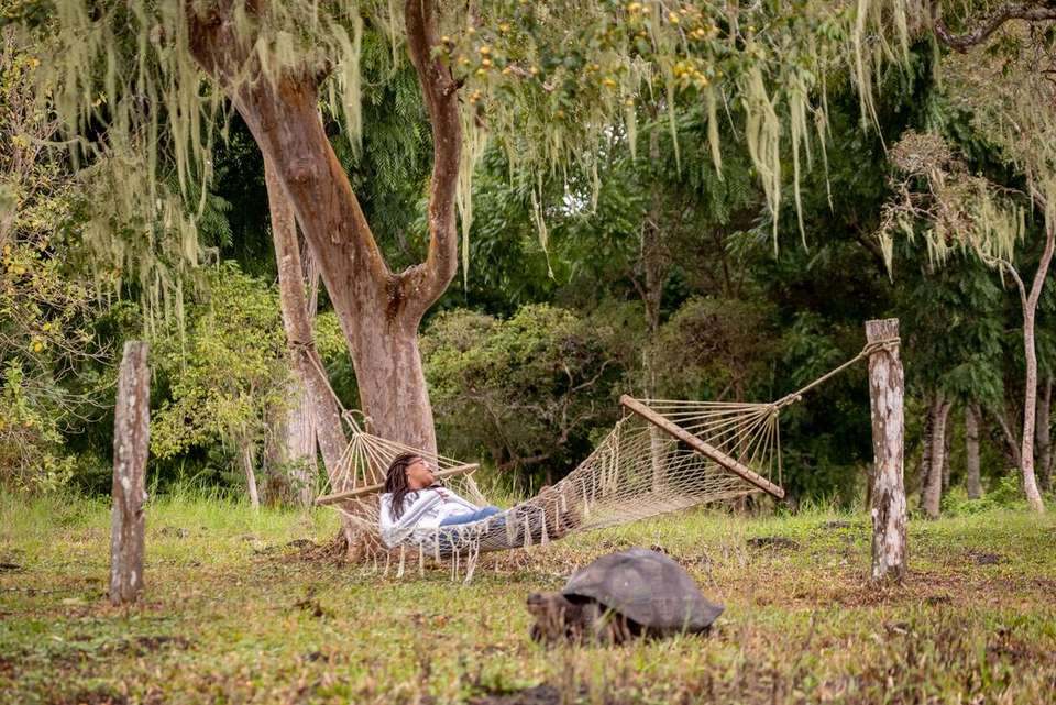 Treasures of Galapagos: Western & Central Islands (Grand Queen Beatriz) - Intrepid Travel - Ecuador - Image 4