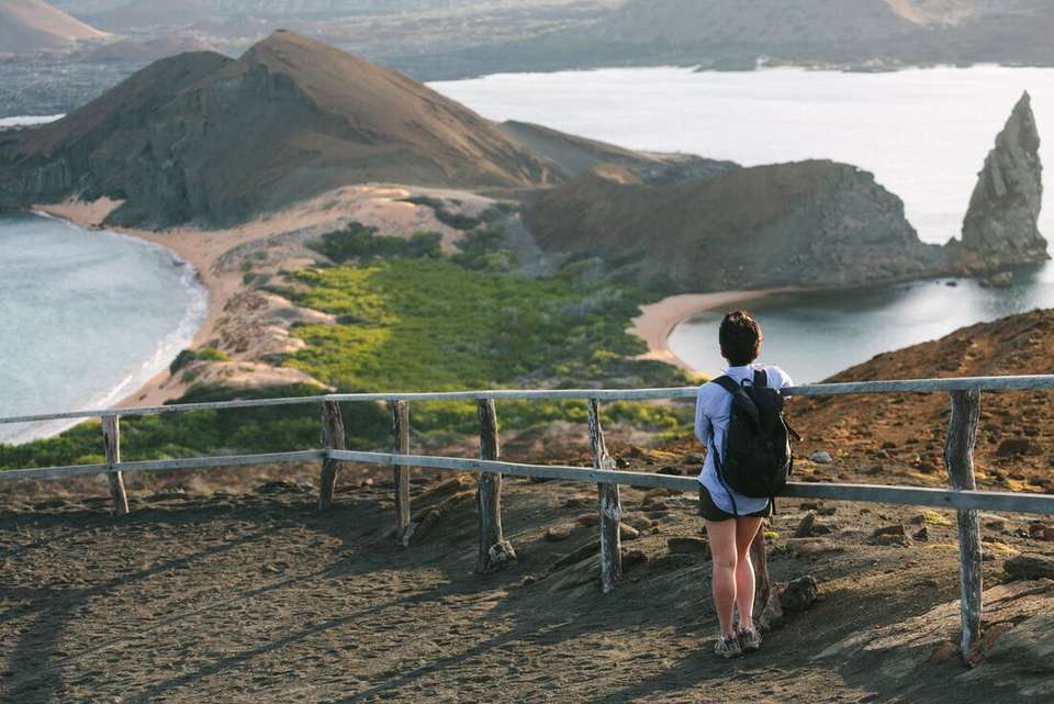 Treasures of Galapagos: Western & Central Islands (Grand Queen Beatriz) - Intrepid Travel - Ecuador - Image 5