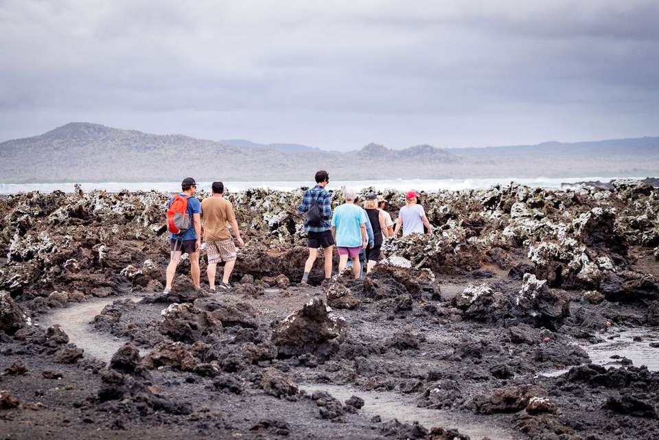 Treasures of Galapagos: Western & Central Islands (Grand Queen Beatriz) - Intrepid Travel - Ecuador - Image 6