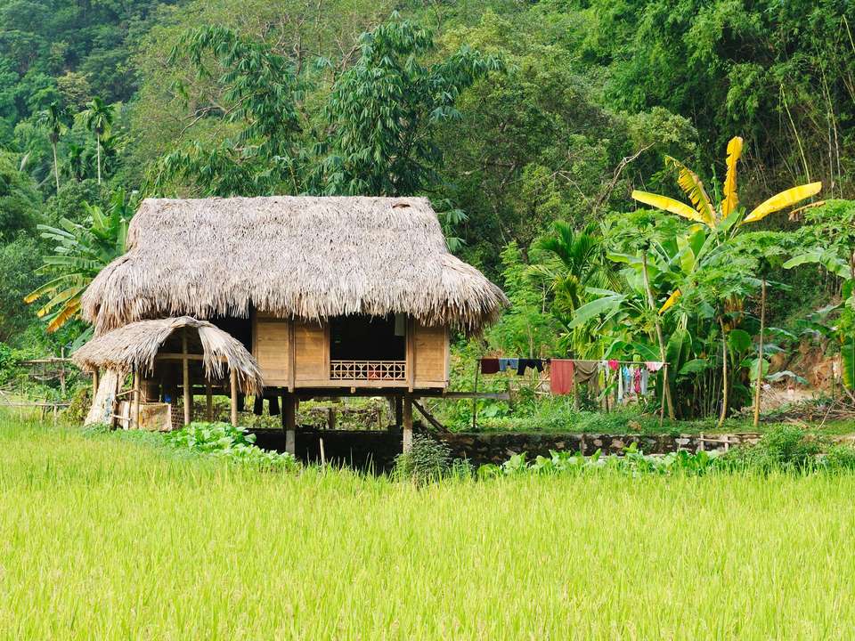 Treasures of Indochina - 15 days - On The Go Tours - Vietnam - Image 5