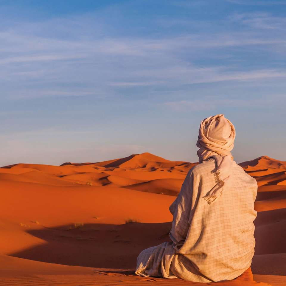 Treasures of Morocco - Insight Vacations - Morocco - Image 5