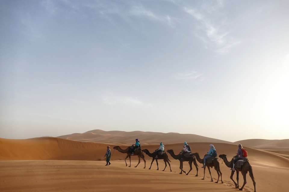 Discover Morocco in Style - undefined - Image 19