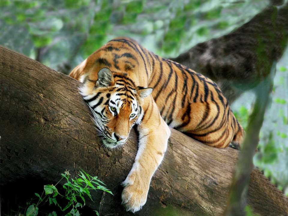 Treasures of Nepal - 9 days - On The Go Tours - Nepal - Image 2