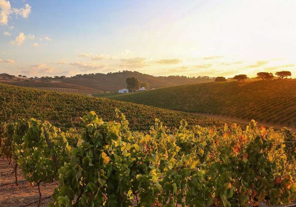 Treasures of Portugal - Indus Travels - Portugal - Image 10