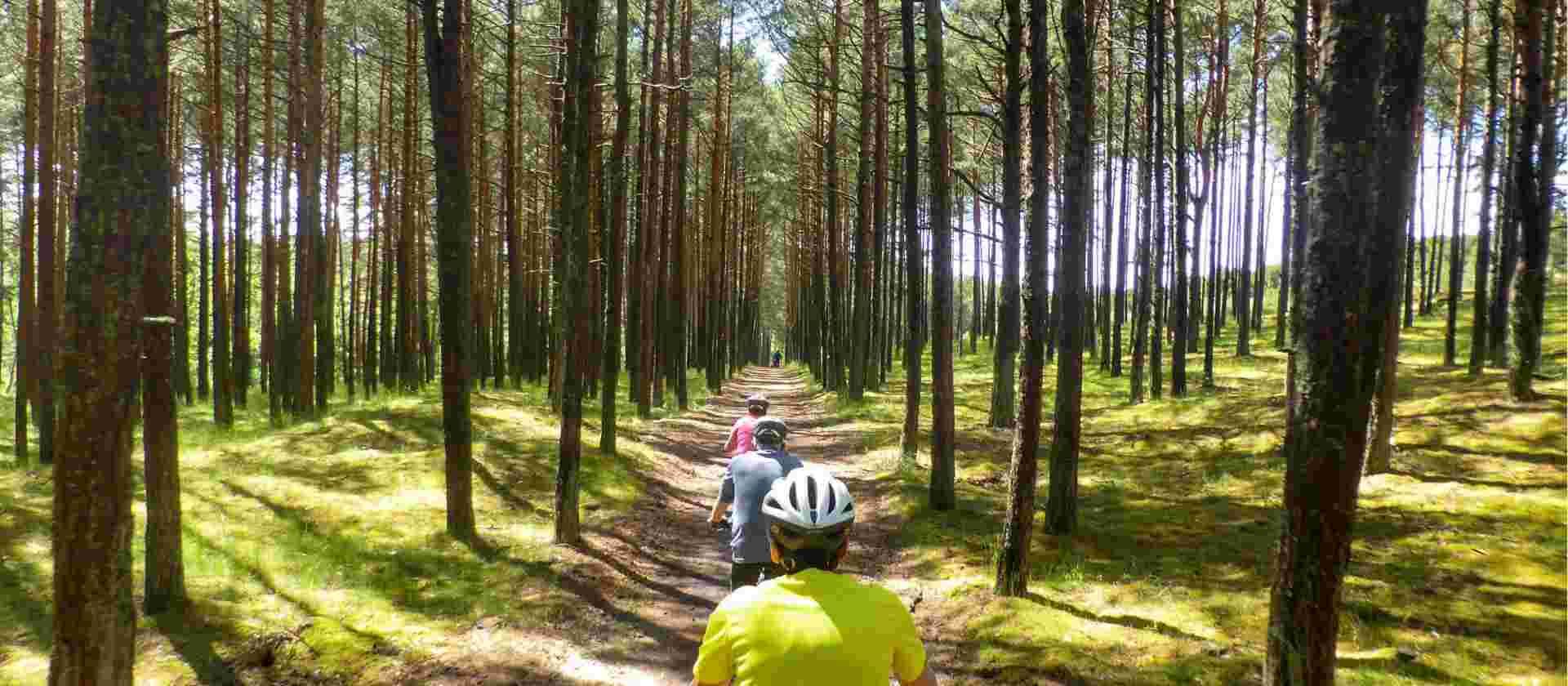Treasures of the Baltic by Bike Guided Cycle