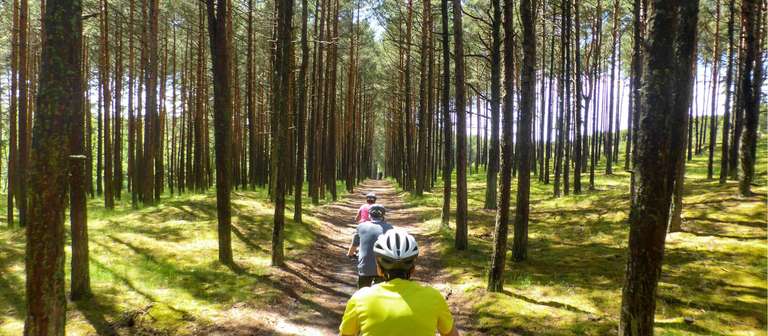 Treasures of the Baltic by Bike Guided Cycle trip - alternative tour available