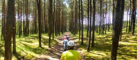 Europe Group Tours: Treasures Of The Baltic By Bike Guided Cycle