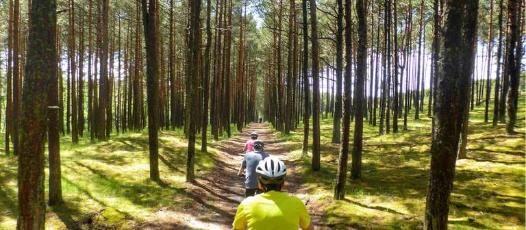 Baltic Bicycle Tour: Treasures of the Baltic by Bike Guided Cycle