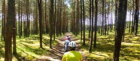 Treasures Of The Baltic By Bike Guided Cycle - July 2026