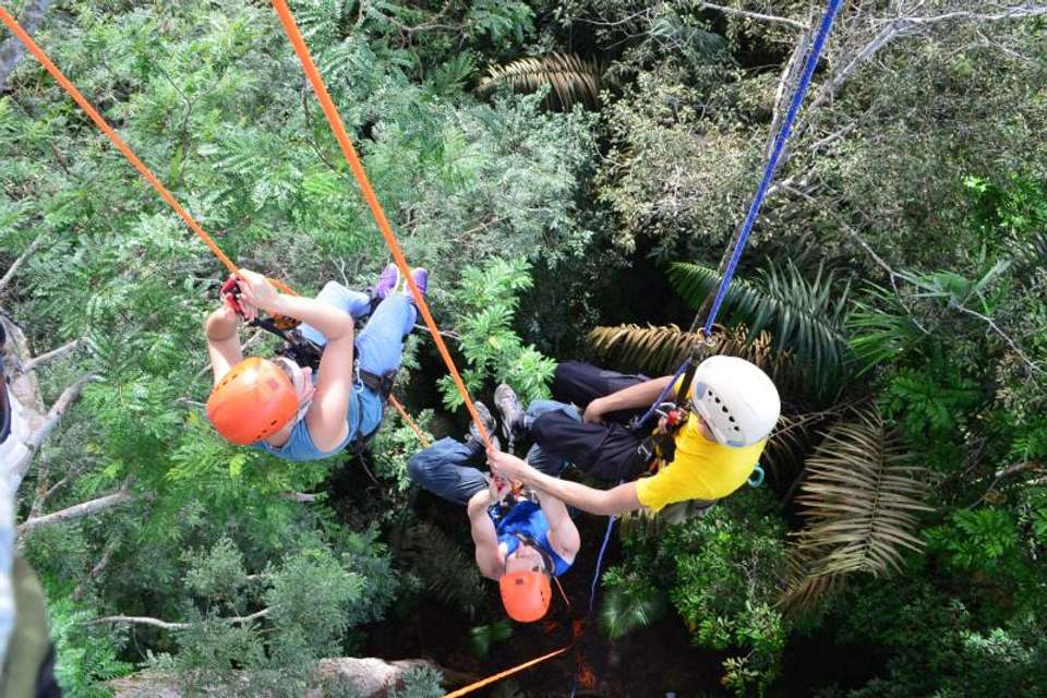 Tree Climbing In Amazon - Tangol Tours - Brazil - Image 2