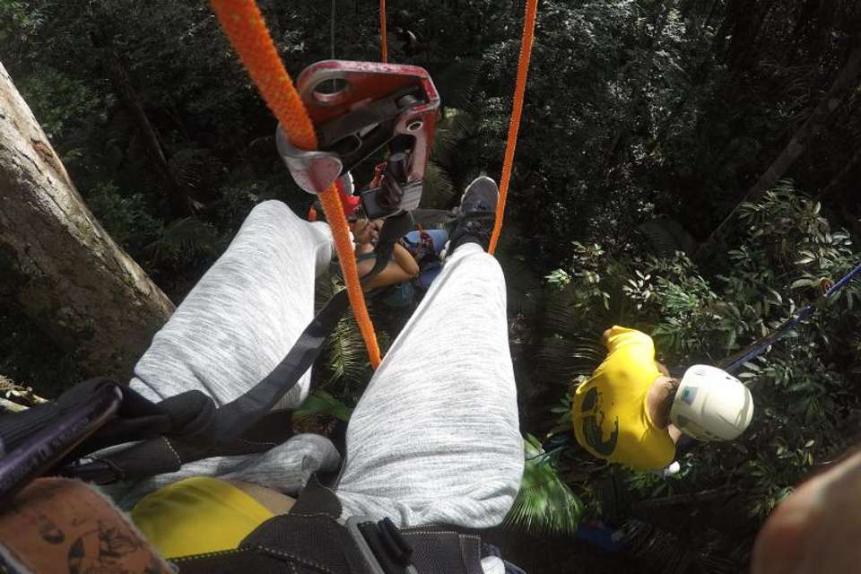Tree Climbing In Amazon - Tangol Tours - Brazil - Image 3
